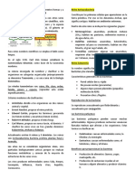 Resumen Tema 1 (11°)