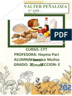 Caratula Informe Cyt Almidon