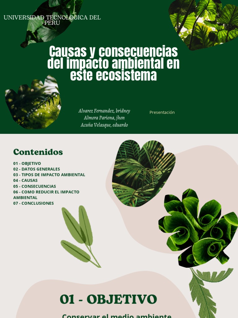 Impacto Ambiental: Causas y Soluciones | PDF | Contaminación | Entorno ...