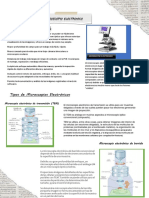 Microscopio Electronico