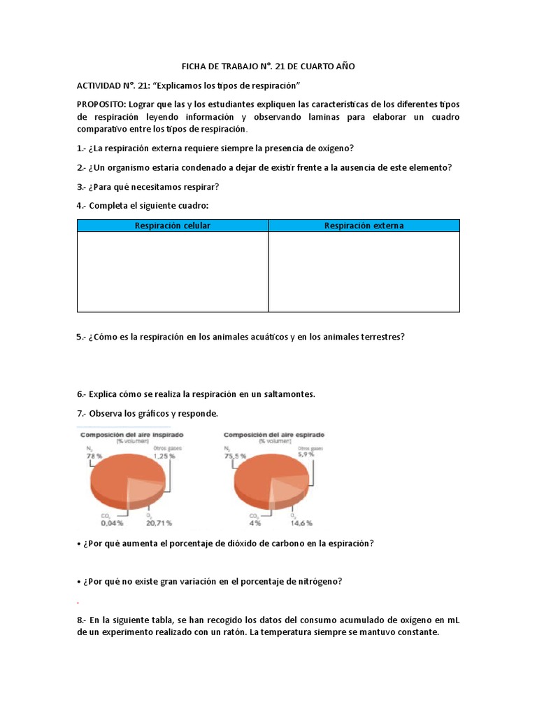 Ficha 21 Cuarto Año | PDF
