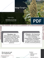 Chapter 4a Factors Affecting Crop Production