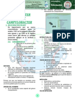 Helicobacter Pylori/ Campylobacter: Reticulocitos