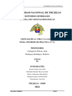 Informe de Practica-Galleria-Ovi