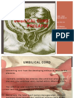 Umbilical Cord Prolapse