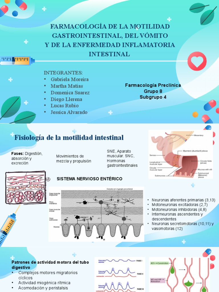 Farmacología de La Motilidad Intestinal. Subgrupo 4 | PDF | Serotonina ...