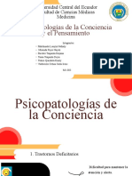 GRUPO C - Psicopatologías de La Conciencia y El Pensamiento - M3-001