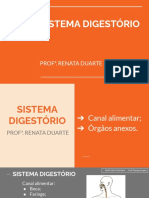 05 - Sistema Digestório