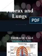 Pa Thorax Lungs