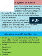 Digestive-system-of-human(Biology)