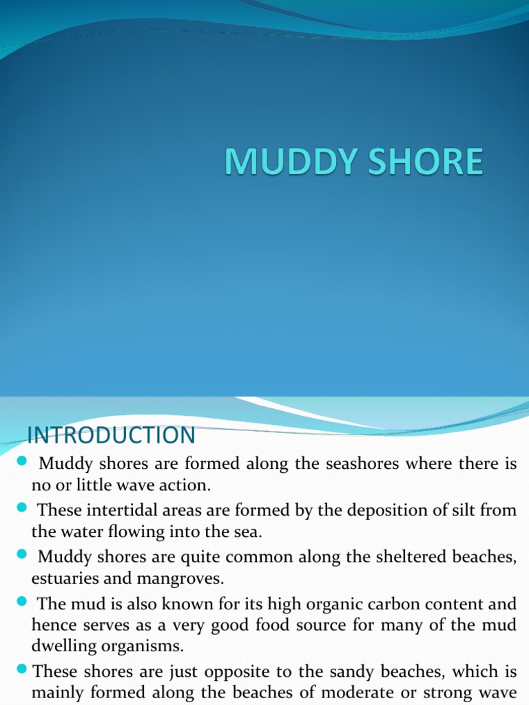 Describe The Roles At The Muddy Shore