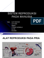 Sistem Reproduksi Pada Manusia