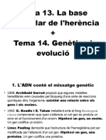 Temes 13 I 14. Genètica Molecular I Mutacions-1