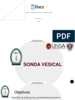 Sonda Vesical 451070 Downloable 2342161