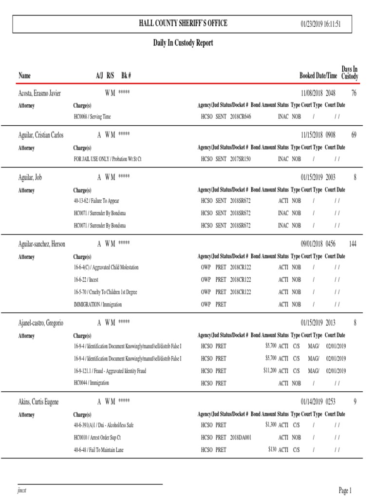 Hall County Daily Inmate Report | PDF | Crimes | Crime & Violence