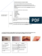 Esquema Órgano Cutaneo e Imagenes de Patologías Cutaneas