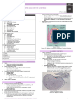 HIS.S4.L17-Male Reproductive System