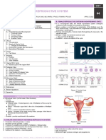 HIS.S4.L16-Female Reproductive System