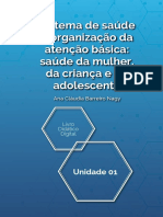 Ebook Da Unidade - Morbimortidade Feminina