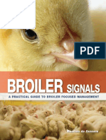 Broiler Production