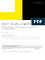 PHrodo Red Cell Labeling Kit For Incucyte