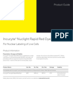 Incucyte Nuclight Rapid Red Dye