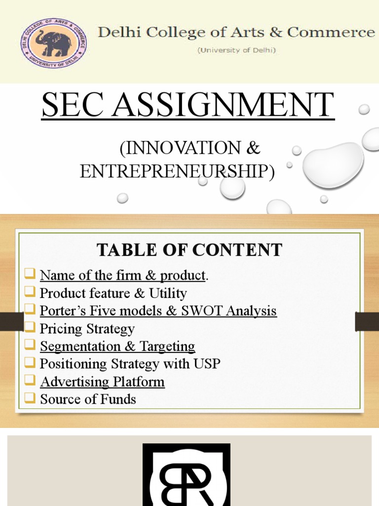 Sec Assignment | PDF | Brand | Market Segmentation