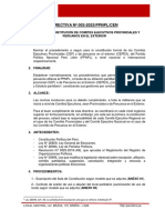 Directiva #002 Constitución Cep y Cepex