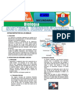 Sistema Respiratorio en Los Animales