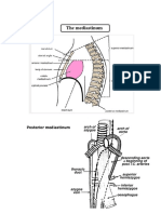 Anatomy Pericardium & Heart