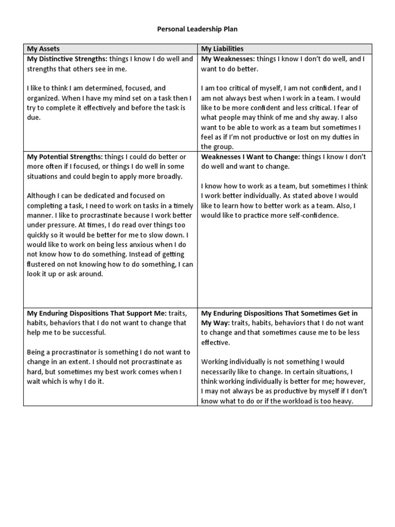 Personal Leadership Plan | PDF | Leadership | Professional Skills