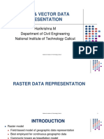 Raster Vector Data Representation