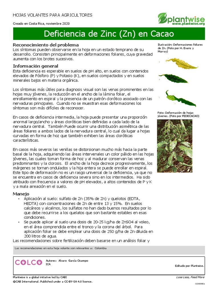 Zinc Cacao PDF Hoja Química