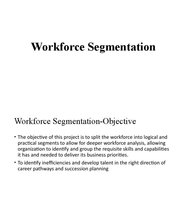 Workforce Segmentation 1 | PDF