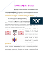 23-Regulación Volumen Efectivo Circulante