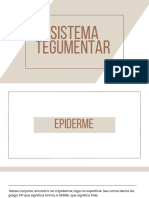 Sistema Tegumentar