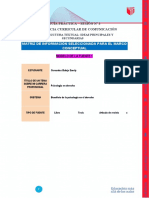 Formato para La Matriz de Información Relevante