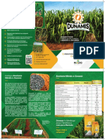 Folder Dunamis Atualizado