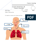 Examen Ciencia 2do Bimestre