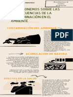 Infografía de Contaminación