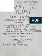 Mapa Conceptual Tipos de Proyecto PDF