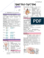 Reproductive System