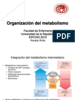 4 Teorico Organizacion Del Metabolismo Clase 4