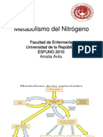 9 Metabolismo del nitrógeno clase 9