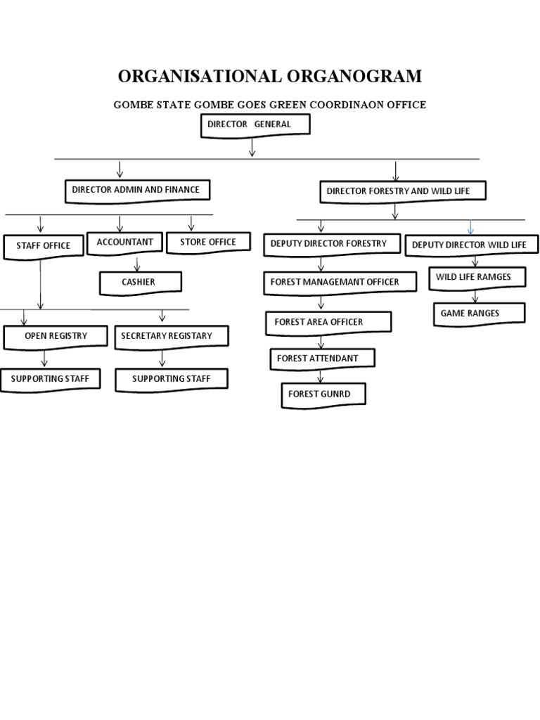 Adamea Presentation | PDF