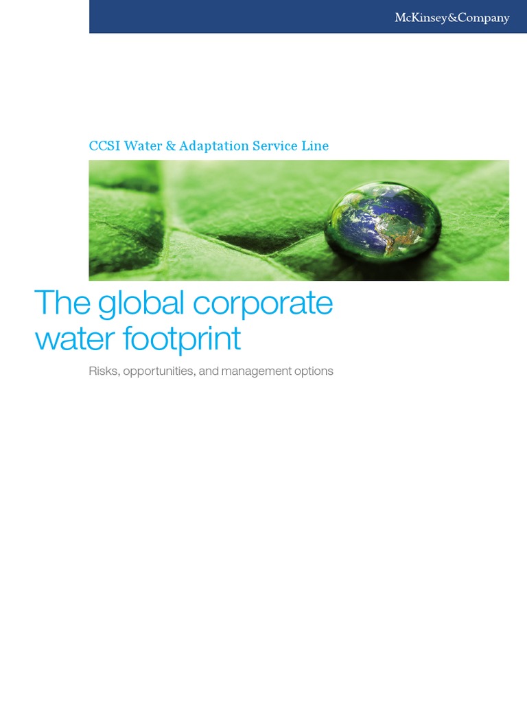 Corporate Water Management Insights | PDF | Water Scarcity | Water
