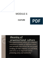 Module 6-Culture