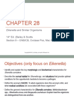 Chapter28 With Comments - Eikenella and Similar Orgs