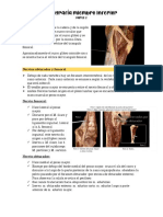 13-10 Topografía Miembro Inferior Parte 2