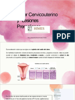 Cancer Cervicouterino y Lesiones Premalignas